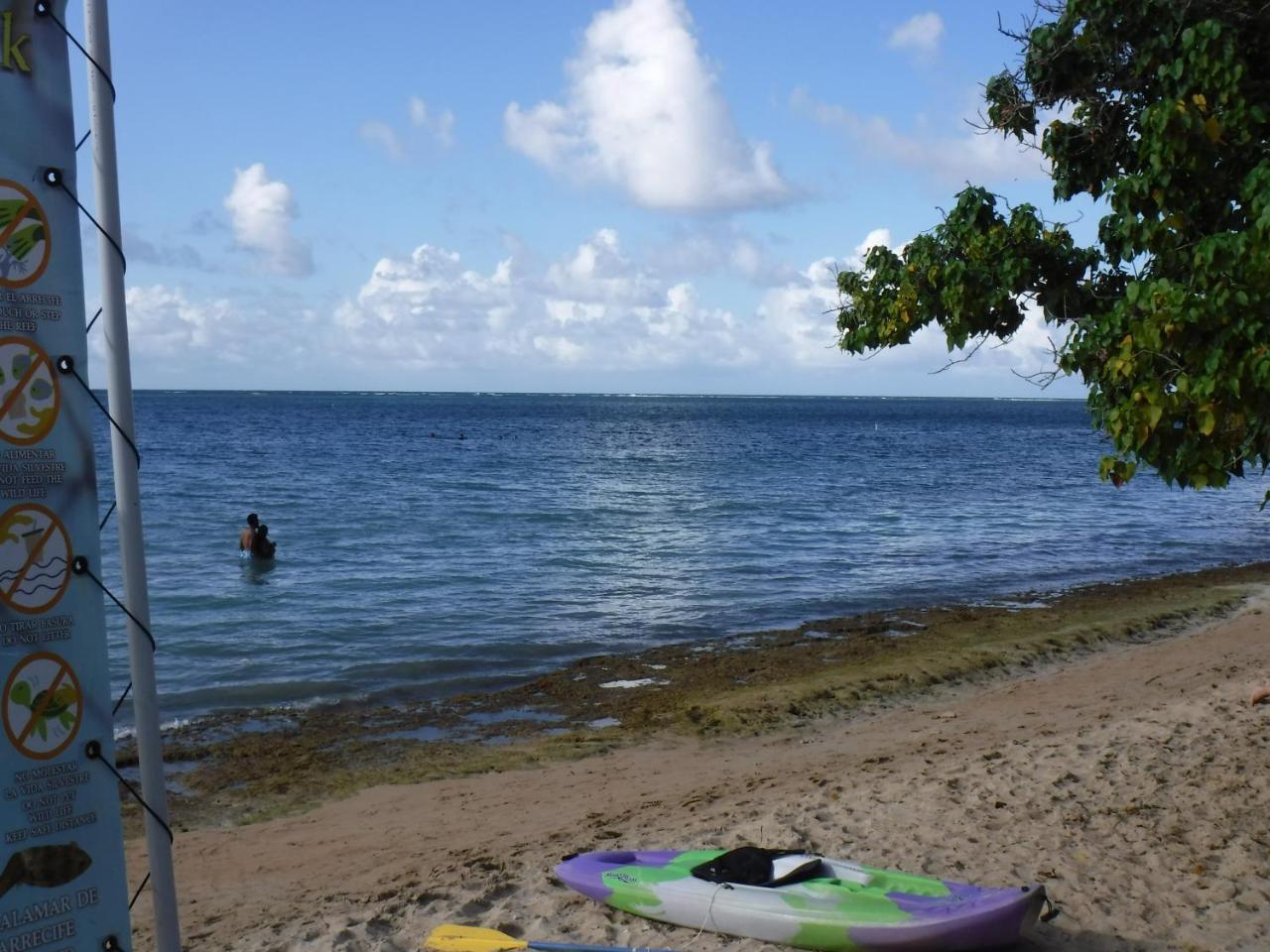 La Casona Beach House Fajardo Eksteriør bilde